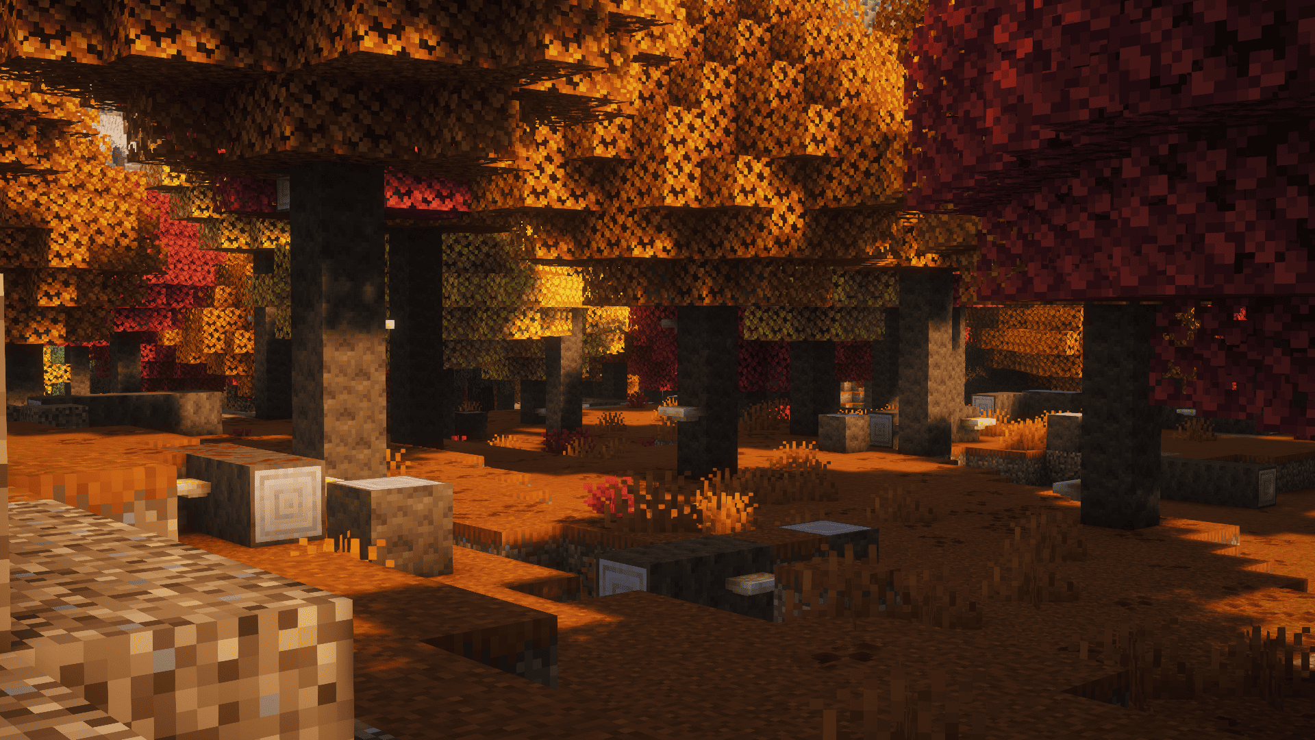 La Forêt Tachetée (Dappled Forest)